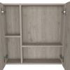 Medicine Cabinet Prague, Four Internal Shelves, Single Door, Light Gray Finish