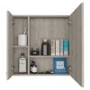 Medicine Cabinet Prague, Four Internal Shelves, Single Door, Light Gray Finish