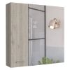 Medicine Cabinet Prague, Four Internal Shelves, Single Door, Light Gray Finish