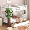 Twin-Over-Twin Bunk Bed with a Tree Decor and Two Storage Drawers