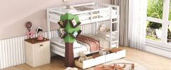 Twin-Over-Twin Bunk Bed with a Tree Decor and Two Storage Drawers